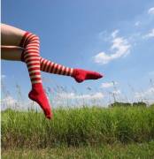 Red &Amp;Amp;Amp; White In Nature