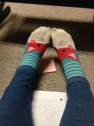 Mr. Foxy Keeping Me Warm And Distracted While Studying.