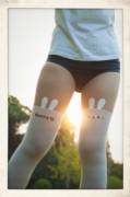 Bunny Tights