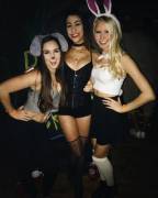 Black Grey And White