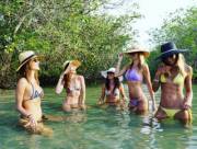 Five In The Mangroves