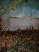 Somebody's Sweet Little Farmer's Child, That Got It In Her Blood To Get A Little ...