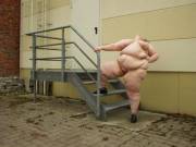 Trifecta On The Stairs