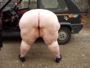 Amature Huge Round Ass