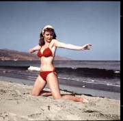 Sue Snow At The Beach By Edmund Leja (1950S) - Album