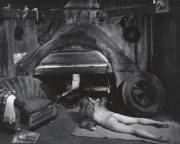 Marilyn With Cat By Wynn Bullock, California, 1956