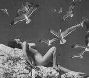 A Flock Of Seagulls, 1960S