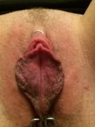 Couldn't Get The Camera To Focus Up, Still Good.