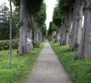 Beshine Is Hiding, Can You Spot Her?