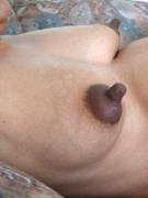 Very Long Brown Nipples