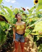 Subtle Sunflower, Pt 1