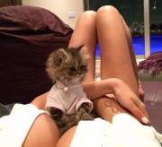 The Epitome Of Reddit [Xpost R/Funny]