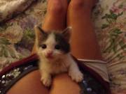 This Was On R/Aww. It Belonged Here. 