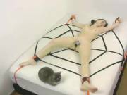 So This Is My Life Now. (X ~ /R/Girlsnanimals)