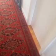 Busted In The Shower