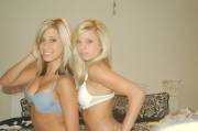 Blondes In Bras