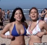 Spring Break Girls Flashing [Gif]