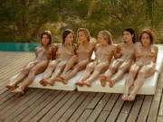 Six Pack Of Wow Girls...