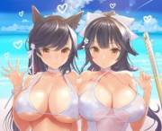 Atago &Amp;Amp;Amp; Takao