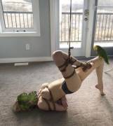 [F] Because I Am Most Definitely Sure You Woke Up Today And Said “I Would Like ...