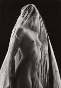 &Amp;Quot;Transparent&Amp;Quot; By Ruth Bernhard (1968)