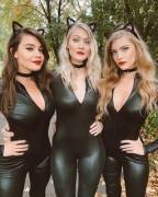 Gotta Love Halloween!