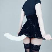 A Cute Little Kitty 2B Waving Her Tail For You ♥ - Yuzupyon