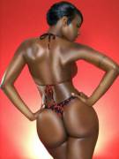 Phenyx Rose From /R/Assinthong/