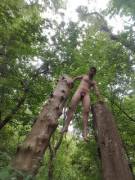 I(M) Just Hanging Out