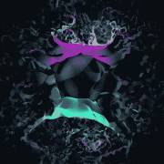 Get Up In These Guts