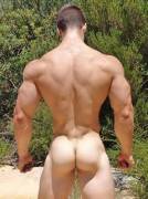 Nice Back
