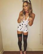 Who Let The Dog Out?