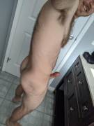 Little Bit Of An Ass Shot!