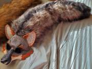 Custom California Grey Fox Tail From Vuzara &Amp;Amp;Lt;3