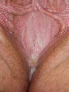 A Nice Creamy Yellow [F] 