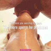 You'll Be Worshipping His Balls For Hours 