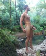 A Woody In The Woods.