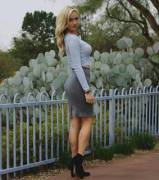 I'd Like To Show You My Succulents In The Garden.