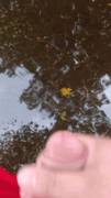 [Proof] Cum In A Body Of Water (Puddle In Yard)