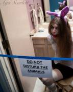 A Little Something From Last Week