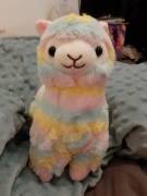 The Tram Broke Down And It Took Me Two Hours To Walk Home..and Waiting For Me There ...