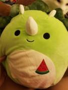 A Local Store Had Squishmallows At 70% Off And I Couldn't Resist! His Name Is Tristan.