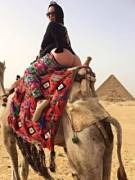 Fat Ass Riding A Camel