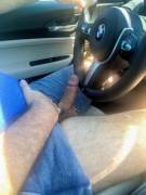 Bear In Need Of Road Head