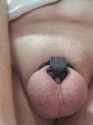 Finally Made The Complete Switch To The Smallest Cage I've Seen And Couldn't Be Happier