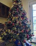 Let's Play A Game!! Send A *Private* Message Naming All 4 Pokémon In My Xmas Tree ...