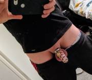 Wife Has Me Locked Up, I'm Way Too Big For This Cage It's Literally Torture