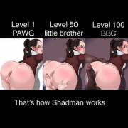That’s How Shadman Works