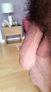 Hairy Flaccid Uncut Cock Presentation