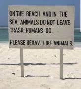 Nude Beaches Are Usually More Clean Than Textile Beaches.